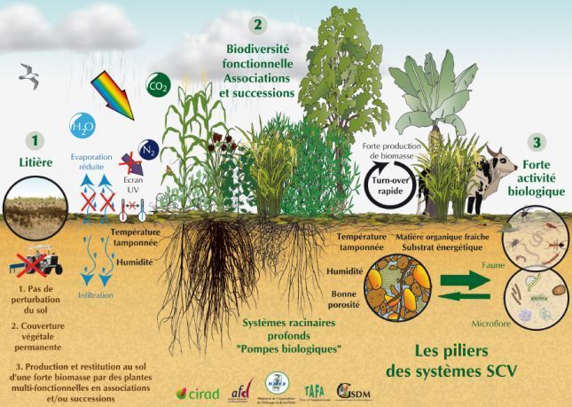 L’agroécologie